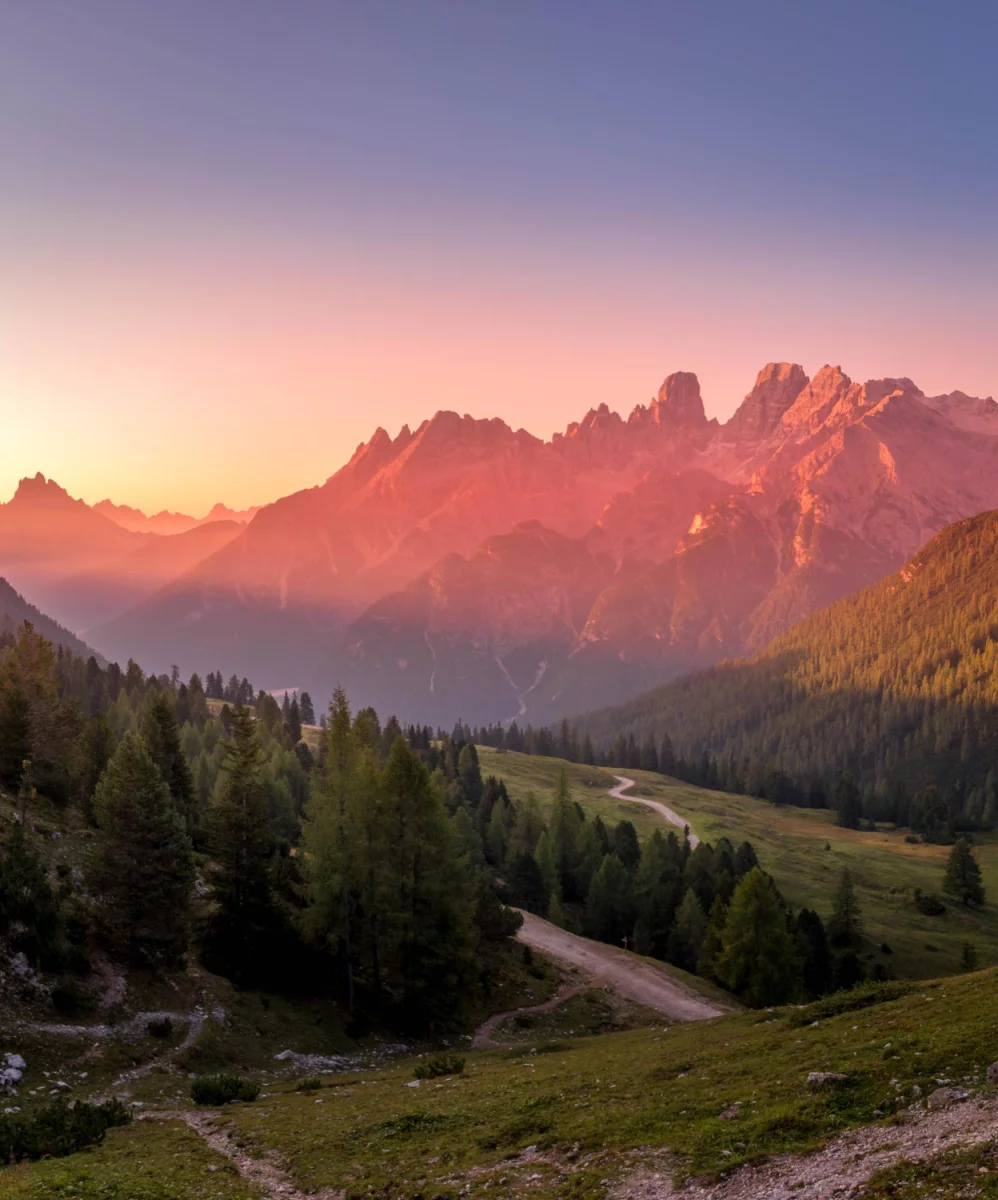 Jak kupić Comarch ERP XL?