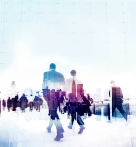 Oprogramowanie optima