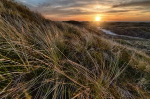 Nowe podejście w 2023 jak  poprawić finanse