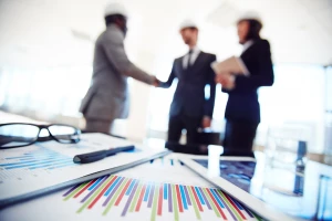 Oprogramowanie optima