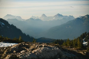 Jak zostać baristą?